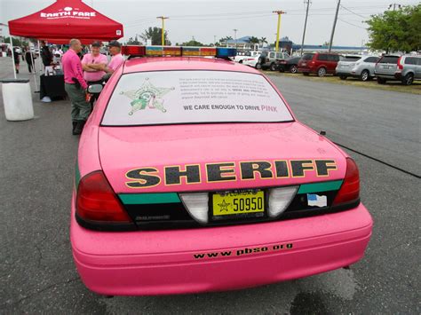 Pink Police Car Nation