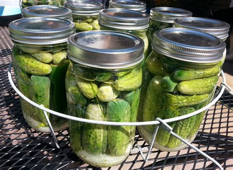 Canning Brined Dill Pickles Recipe Canitforward Giveaway With Our
