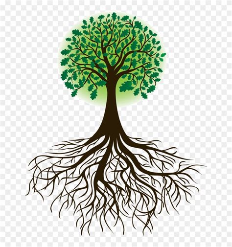 Roots Clipart Cartoon Tree With Roots Silhouette Png Download