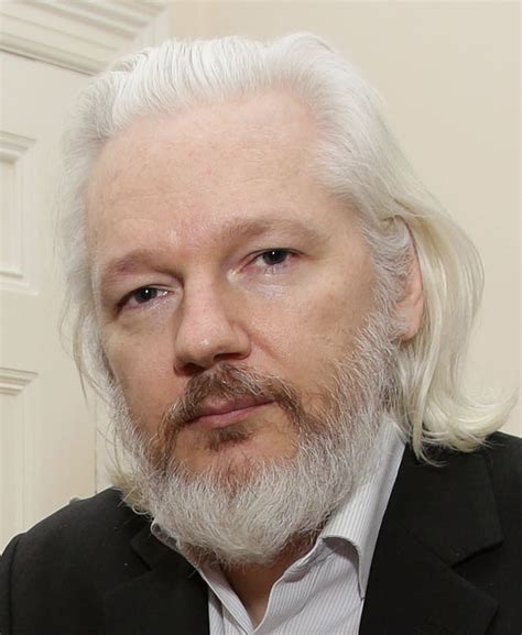 The Julian Assange Indictment By Robert Gore Straight Line Logic