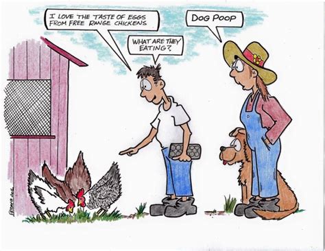 Chicken Humor Fun Comics Chicken Jokes