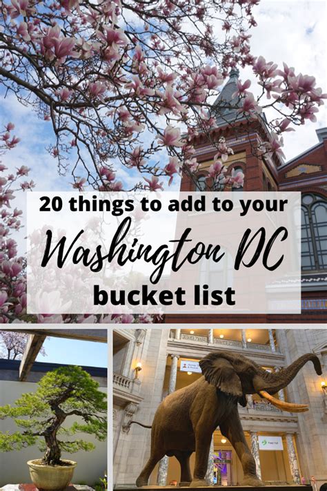 check out our list of 20 things to add to your washington dc bucket