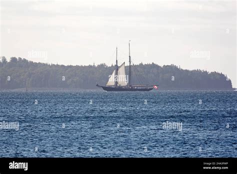 The Bluenose Ii Sails In Halifax Harbour In Nova Scotia Canada Stock