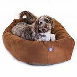 Pictures of Petco Beds For Dogs