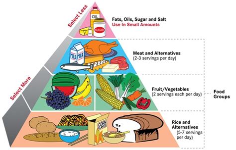 Well Balanced Diet Chart Aria Art