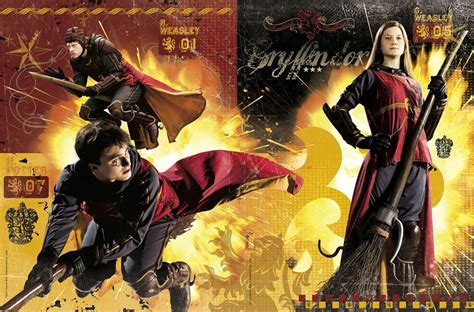 HBP Quidditch - Harry Potter Photo (6716194) - Fanpop