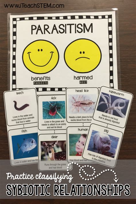 Symbiotic Relationships Anchor Chart Biology Science Anchor Charts