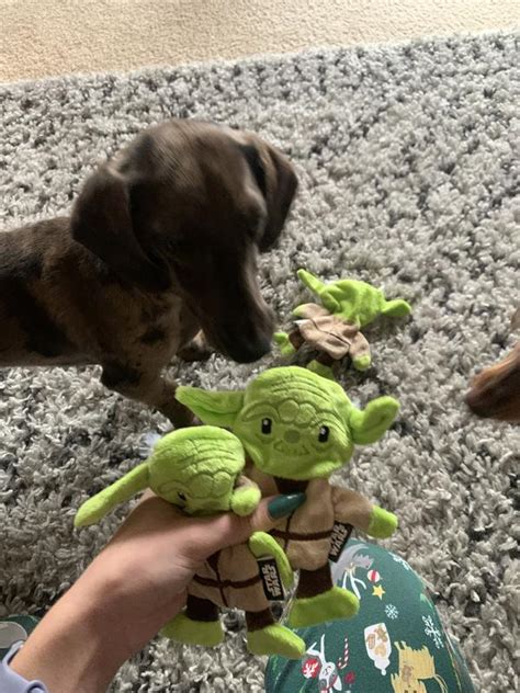 Fetch For Pets Star Wars Yoda Plush Flattie Dog Toy 6 In