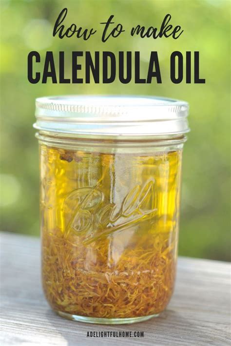 We did not find results for: How to Make (and Use) Calendula Oil | Calendula oil, Diy ...