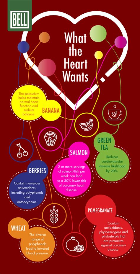 Heart Health Infographic Your Guide To A Healthy Lifestyle