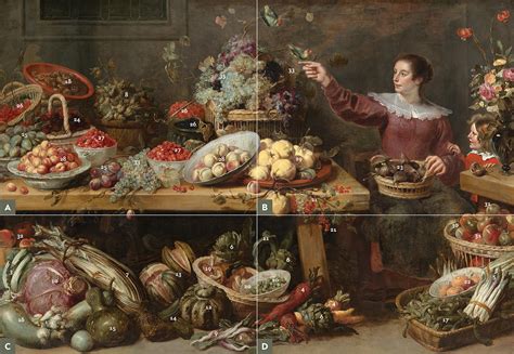 Plant Identification Guide Frans Snyders Still Life With Fruit And