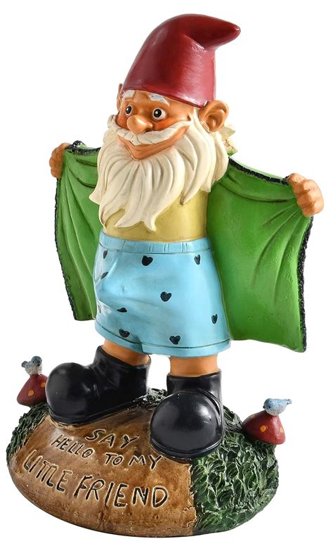 Best Garden Gnome Naked Tech Review