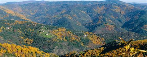 Rich in geographical, natural, and cultural significance. Le Parc National des Cévennes, majestueuse nature ...