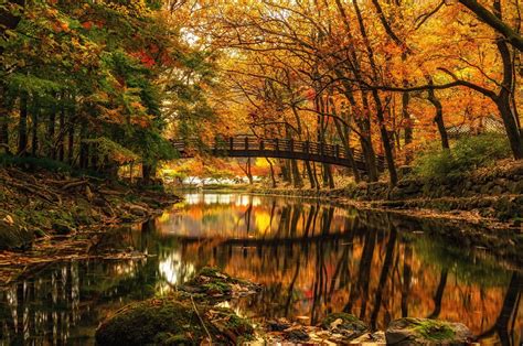 Nature Landscape Fall Colorful Bridge Forest Reflection River Germany Trees Water Shrubs