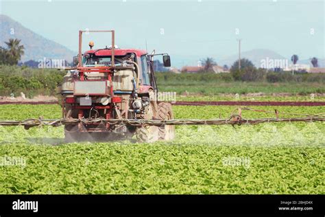 Fumigation Of Tractor In Lettuce Field Spraying Insecticide Insecticides Pesticides In