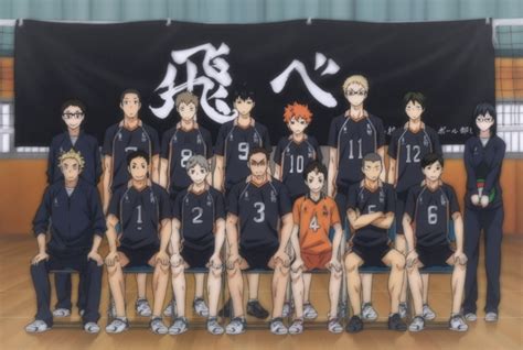 Heichokay Haikyu Haikyuu Partido De Voleibol