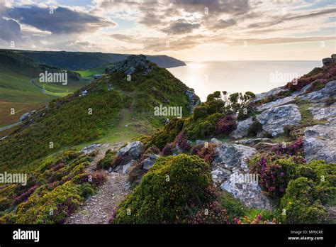 Valley Of The Rocks In Late Summer Exmoor National Park North Devon