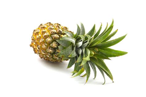 Isolated Of Pineapple Fruit On White Background Stock Image Image Of