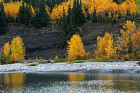 Where To See Alberta Larch Trees In Fall (PHOTOS) | HuffPost Canada Alberta