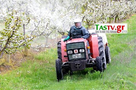 Αθλητικές ειδήσεις & τα τελευταία αθλητικά νέα βρίσκονται τώρα εδώ. ΠΛΗΡΩΜΕΣ ΑΠΟ ΟΠΕΚΕΠΕ ΚΑΙ ΕΛΓΑ - ΠΟΙΕΣ ΕΓΙΝΑΝ, ΠΟΙΕΣ ...