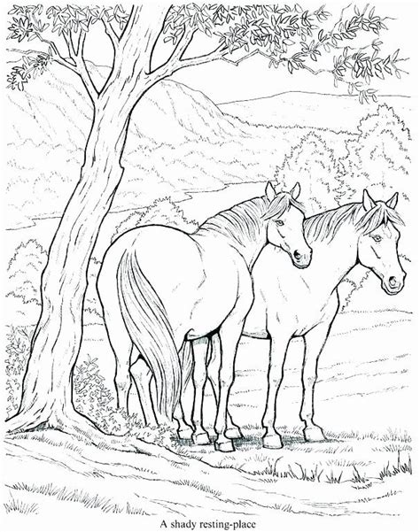 Horse coloring page from horses category. Free Horse Coloring Page Awesome Realistic Horse Coloring ...