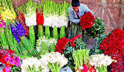 Maybe you would like to learn more about one of these? Flower sale booms in Jessore | The Asian Age Online ...
