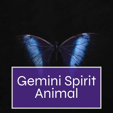 Gemini Spirit Animal Psychic Boost