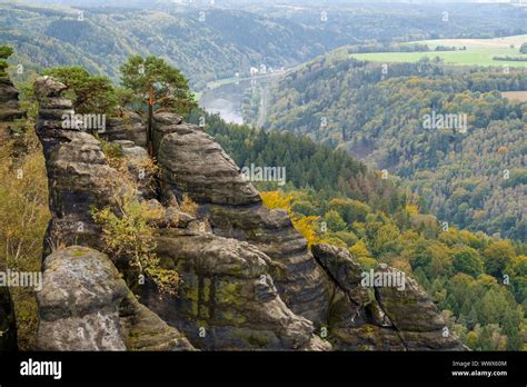 Autumn In The Elbe Sandstone Mountains Bad Schandau Region