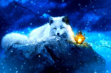 Colorful Fox Wallpapers Top Free Colorful Fox Backgrounds