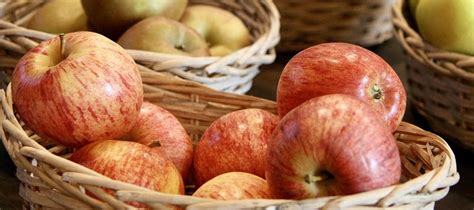 Prozdrowotne właściwości jabłek warto odkrywać jesienią