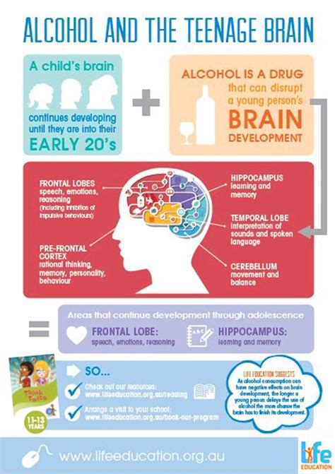 Alcohol Effects On Teenage Brain And How To Talk To Your