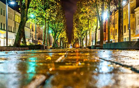 Wallpaper Road Autumn Asphalt Leaves Macro Light Trees The City
