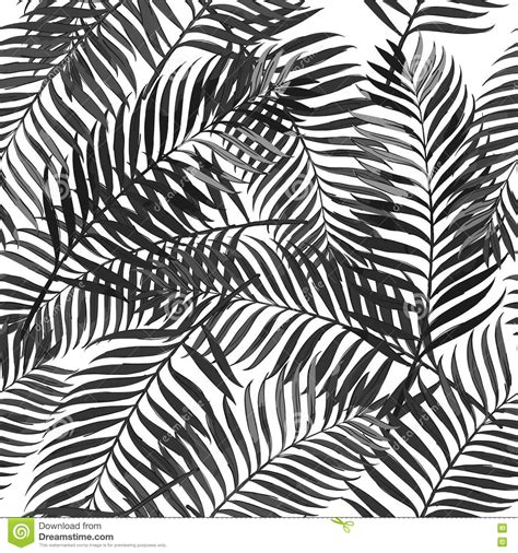 Learn how to draw palm tree leaf pictures using these outlines or print 1160x772 10 lush palm tree leaves patterns psdblast. Vector Summer Seamless Pattern With Palm Leaves. Stock ...