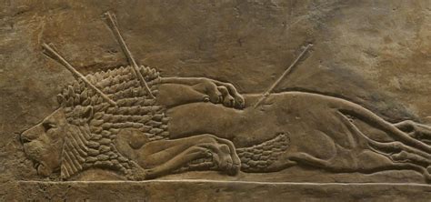 Assyria Lions Hunts Siege Of Lachish And Khorsabad 7106 Flickr