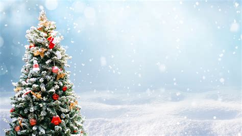 Ms Teams Free Christmas Backgrounds