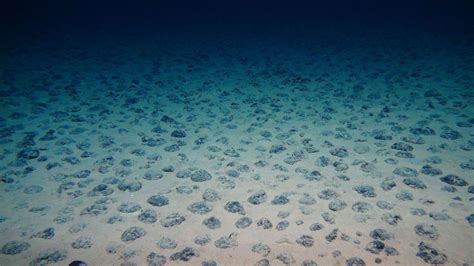 The Unseen Man Made Tracks On The Deep Ocean Floor Bbc Future