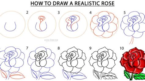 Rose drawing step by step. Step By Step Drawing at GetDrawings | Free download