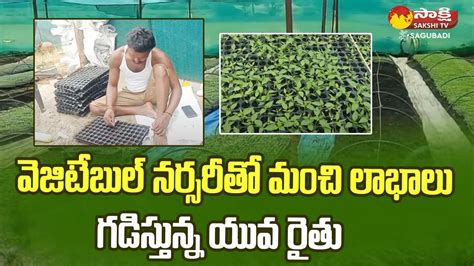 Vegetable Nursery Young Farmer Ashok Success Story Siddipet Dist