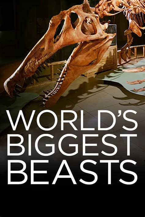 Worlds Biggest Beasts Movie Reviews And Movie Ratings Tv Guide
