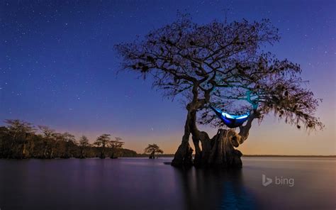 Hammock Camping Cypress Tree Florida 2016 Bing Desktop