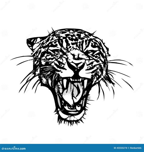 Panther Head In Flames Stock Image 74081893
