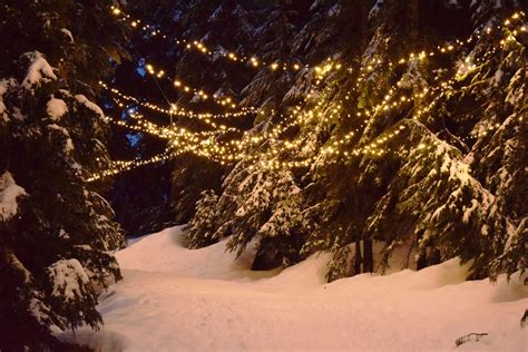 Best Time To See Grouse Mountain Light Walk In Vancouver