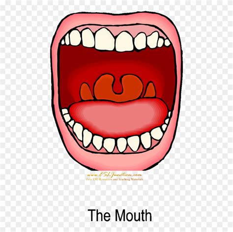 Free Mouth Clipart 10 Free Cliparts Download Images On Clipground 2024