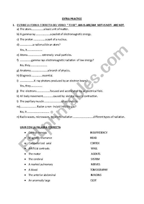 Practice Verb To Be And Vocabulary Esl Worksheet By Mari28