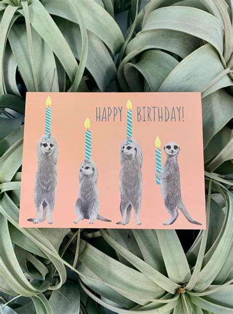 Meerkat Happy Birthday Card Dig Gardens