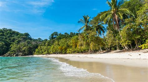 The Most Beautiful Beaches In Costa Rica Torediscover Nature