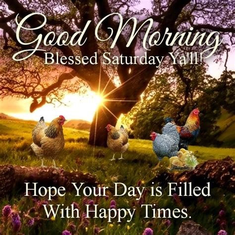 Good Morning Blessed Saturday Pictures Photos And Images For Facebook Tumblr Pinterest And