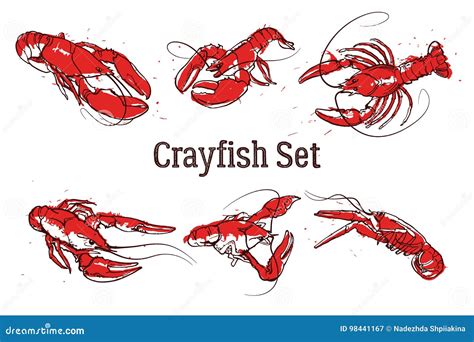 Set Of Vector Crayfish Illustrations Drawn In Ink Splattered Seafood