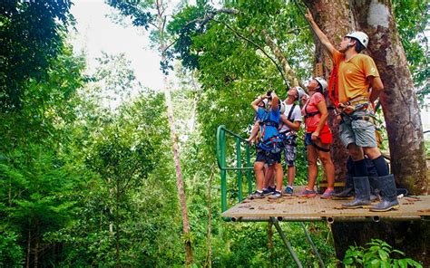Costa rica is a pioneer in canopy exploration, where thick branches serve as platforms for the adventurous traveler, more than 100 feet above a costa rica zip line tour, hanging bridges hike, or aerial tram tour are all fantastic ways to take advantage of costa rica's stunning forest canopy views. Zip lining tours in Costa Rica for vacations
