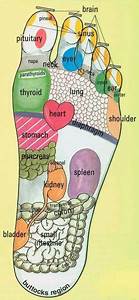 This Foot Reflexology Chart Is A Map To The Corresponding Organs